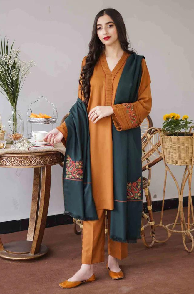 Aisling  - 3PC Dhanak Embroidered Suit - USME-014019
