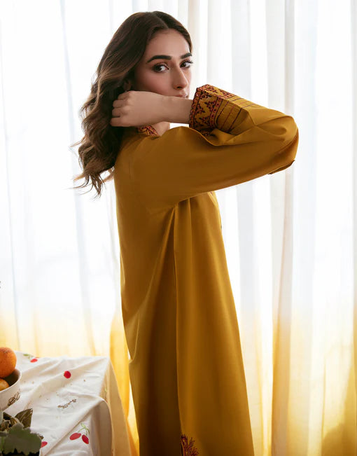 Urge - 2PC Luxury Dhanak Embroidered Suit - USME-014093